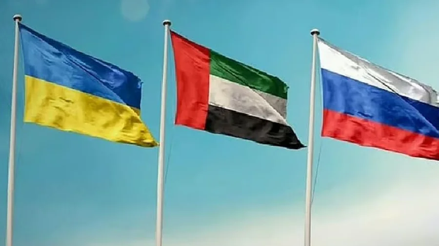 img-blog
